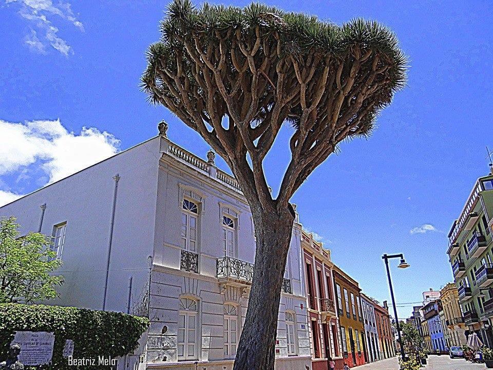 Apartamento Maya La Laguna  Extérieur photo